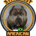 Canil Strongest American Bully