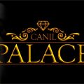 Canil Palace Animal