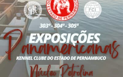 Exposições Panamericanas – Núcleo Petrolina